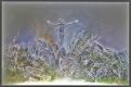 Crocifissione - 1996