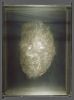 Olotratto di Eugenio Montale - 1988
